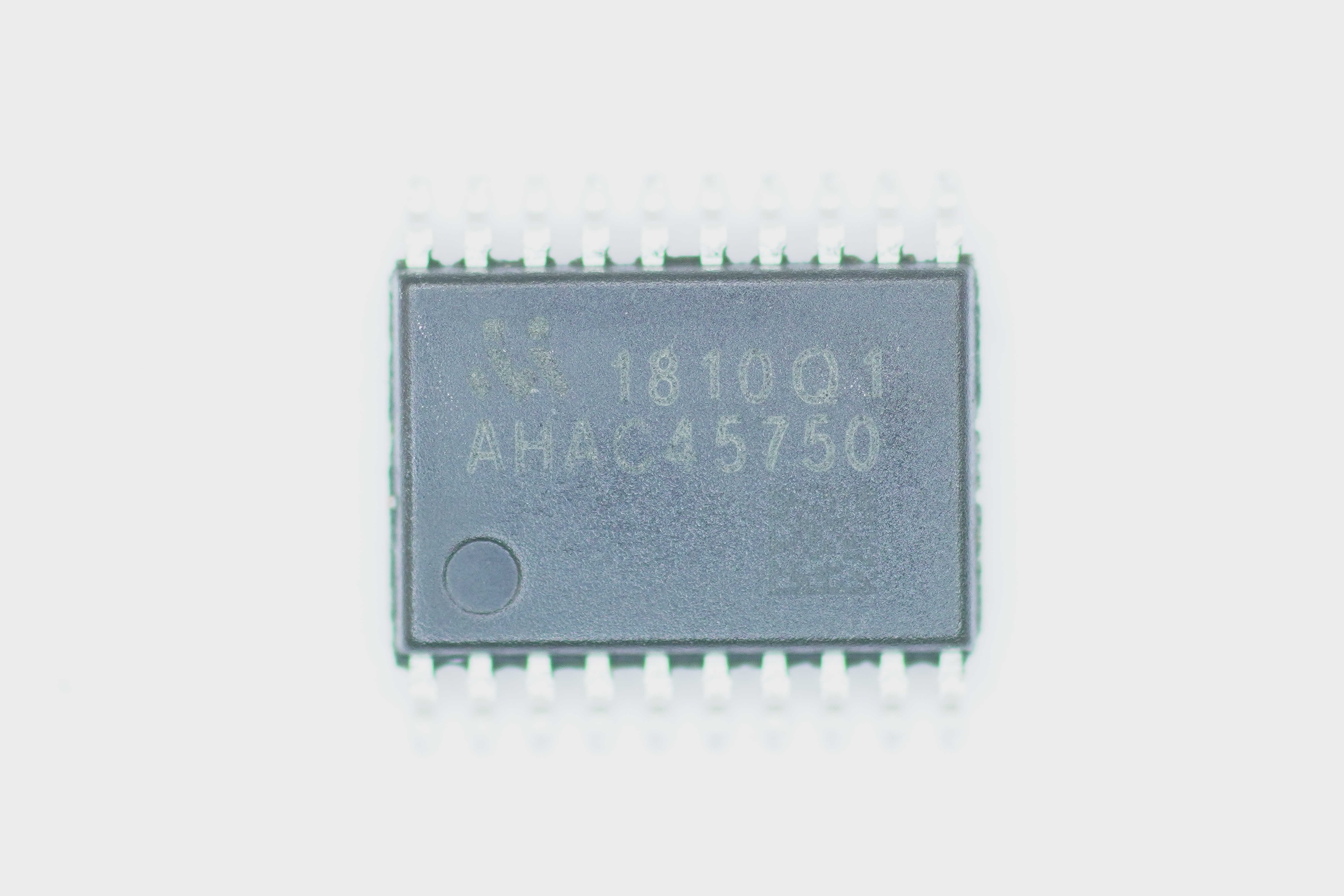 MS1810-Q1